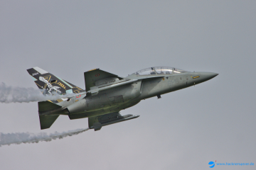 Alenia Aermacchi M-346   Italian Airforce.jpg (6/25)